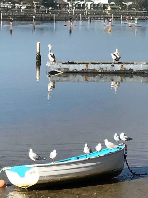 Reflections On Merimbula Lake - Brisbane Tourism 1