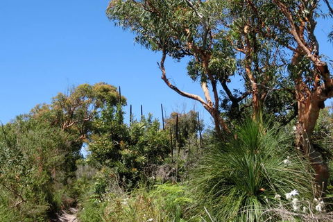 Relaxing Queen Sized Room With En-Suite - Tourism Brisbane 3