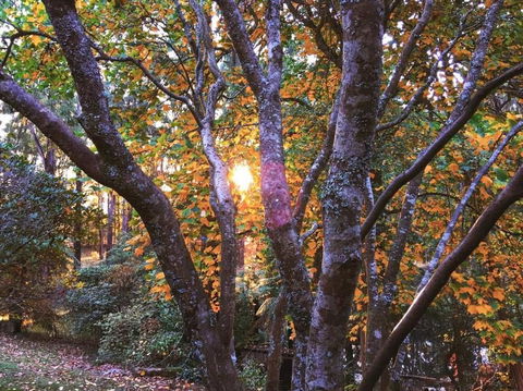 Rendezvous Nexus - Tourism Brisbane 3