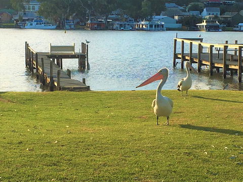 Riverfront Getaway - Mannum - Tourism Brisbane 0