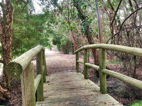 Ruby Rose - Tourism Brisbane 2
