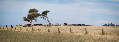 SALT - 37 Oceanview Drive - Brisbane Tourism 2