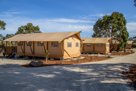 Scamander Sanctuary Holiday Park - Brisbane Tourism 1
