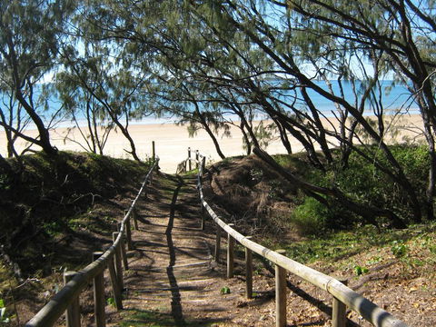 SeaEagles Beach Resort - Brisbane Tourism 2