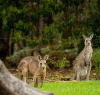 Secura Lifestyle Countryside Kalaru - Tourism Brisbane
