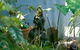 Serenity Guest House - thumb 3