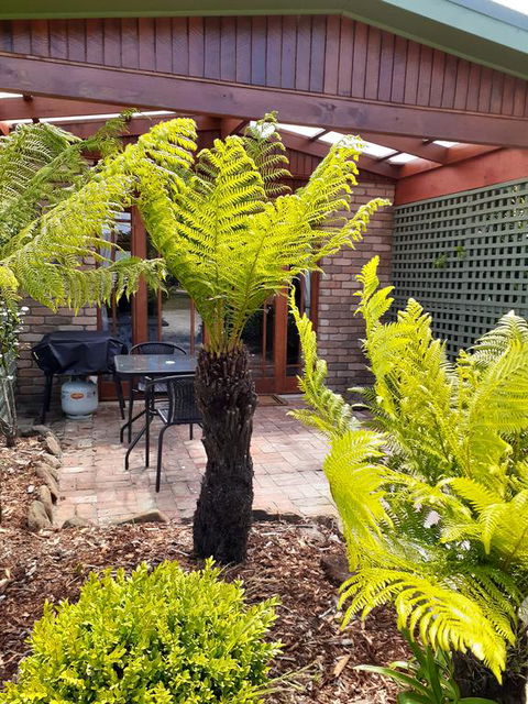 Sleepy Hollow Hideout (Hidout 2) - Brisbane Tourism 1