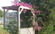 Southern Vales Bed & Breakfast - thumb 3