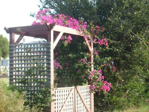Southern Vales Bed & Breakfast - Tourism Brisbane 3