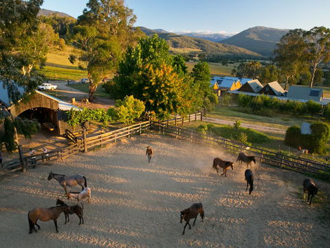 Spring Spur - Brisbane Tourism 0