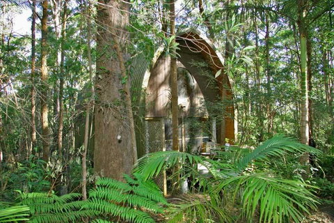 Springbrook Mountain Chalets - Tourism Brisbane 0