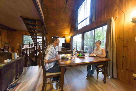 Springbrook Mountain Chalets - Tourism Brisbane 2