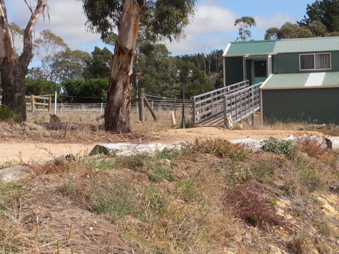 Springmead Rustic Cabin - Tourism Brisbane 1