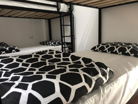 St Kilda Accommodation - Brisbane Tourism 1