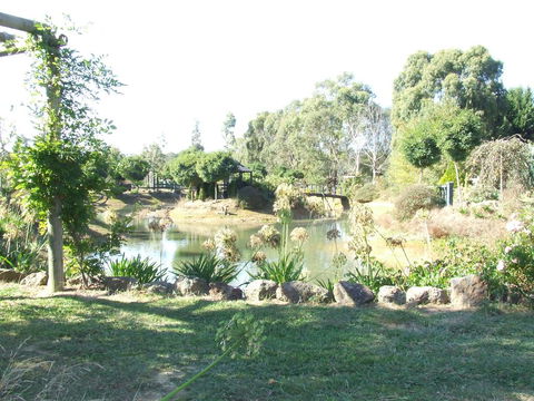 Still Waters - Tourism Brisbane 0