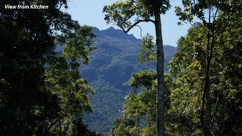 Stonewood Views - Brisbane Tourism 2