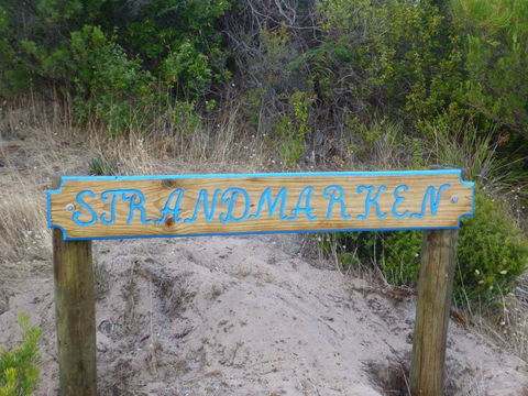 Strandmarken - Tourism Brisbane 0