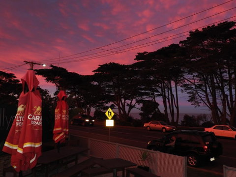 Surf City Motel - Brisbane Tourism 3