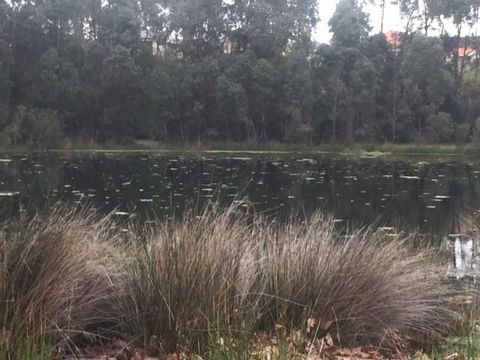 Telperon (2 Rooms, 3-4 Guests) - Tourism Brisbane 2