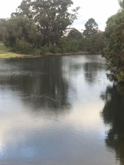 Telperon (2 Rooms, 3-4 Guests) - Tourism Brisbane 3
