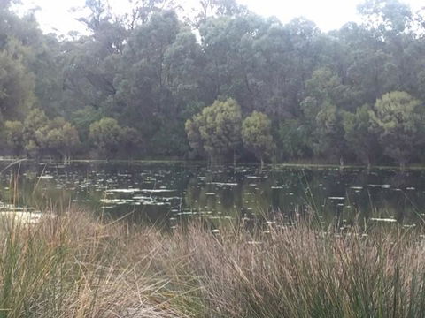 Telperon (2 Rooms, 3-4 Guests) - Tourism Brisbane 1