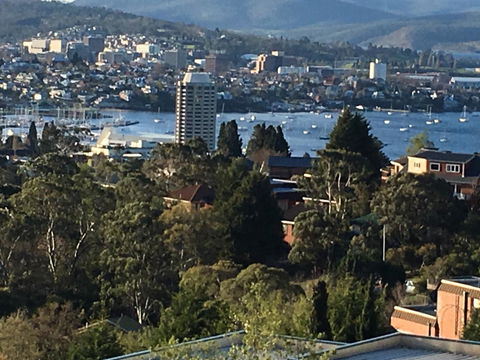 The Lookout - Brisbane Tourism 1