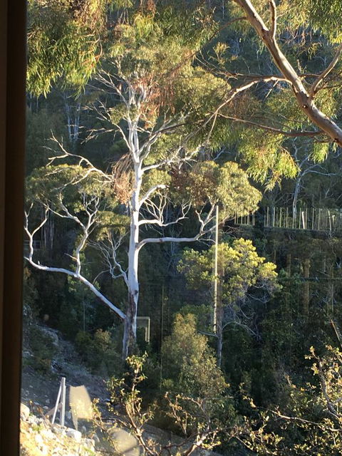 The Lookout - Brisbane Tourism 22