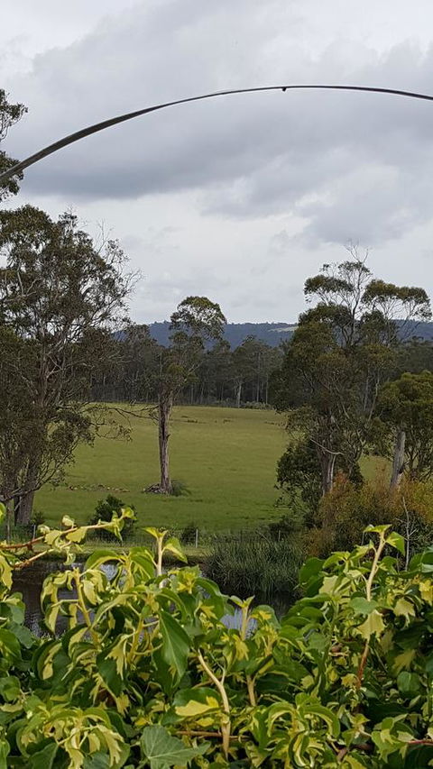 Hazelcreek Cottages - Brisbane Tourism 34