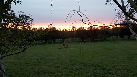 Hazelcreek Cottages - Brisbane Tourism 33