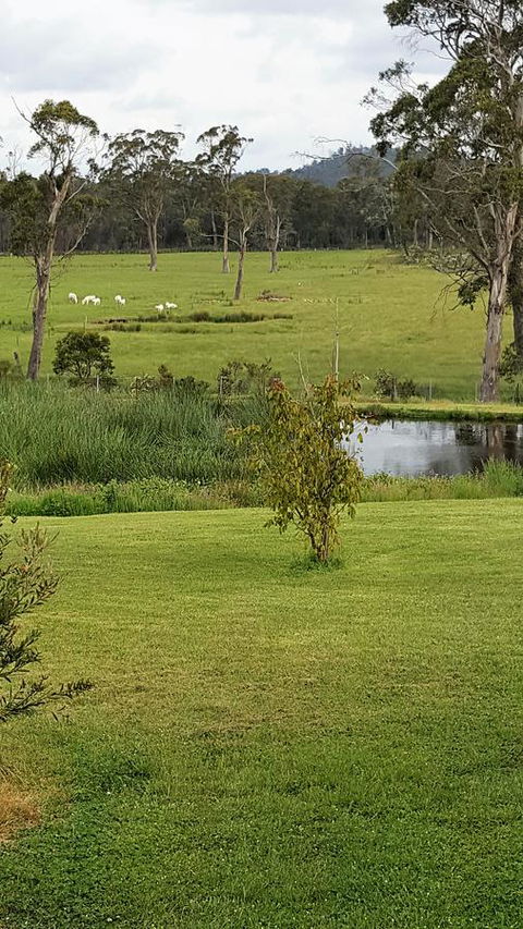 Hazelcreek Cottages - Brisbane Tourism 7