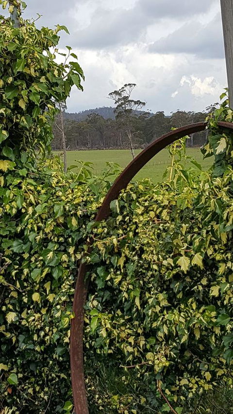 Hazelcreek Cottages - Brisbane Tourism 36