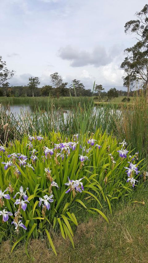 Hazelcreek Cottages - Brisbane Tourism 1