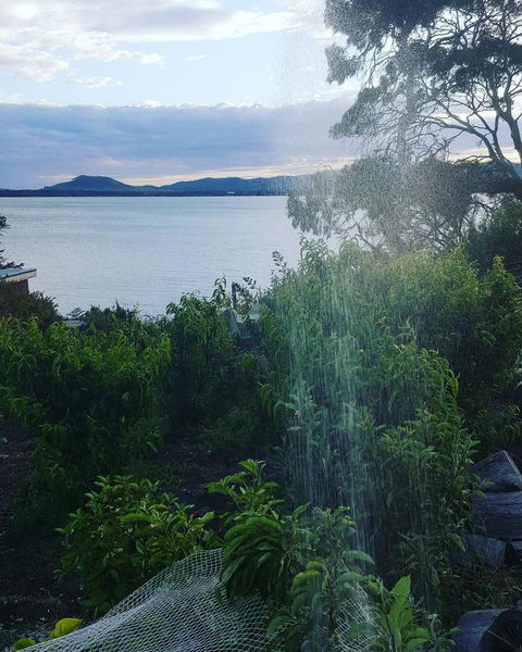 AppleBay Guest House - Tourism Brisbane 31