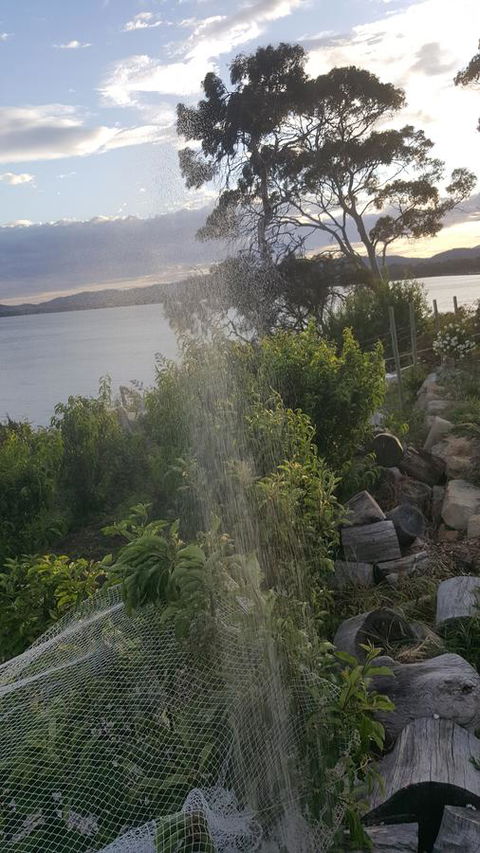 AppleBay Guest House - Tourism Brisbane 21