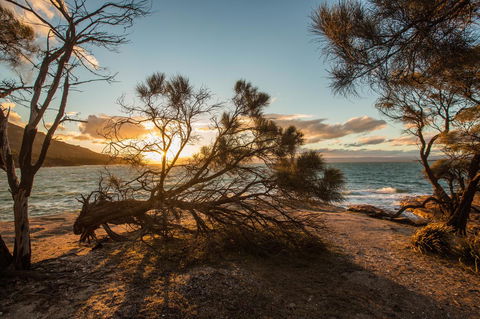 Freycinet Lodge - Tourism Brisbane 44