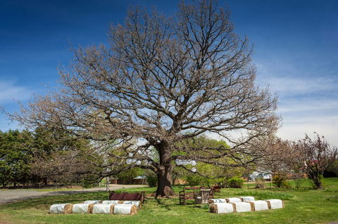 Ratho Farm - Tourism Brisbane 8