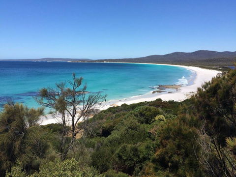 Holland House Bay Of Fires - Tourism Brisbane 15