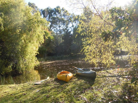 Whispering Spirit Holiday Cottages & Mini Ponies - Tourism Brisbane 6