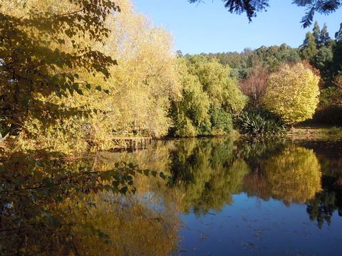 Whispering Spirit Holiday Cottages & Mini Ponies - Tourism Brisbane 7