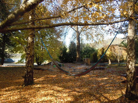 Whispering Spirit Holiday Cottages & Mini Ponies - Tourism Brisbane 5