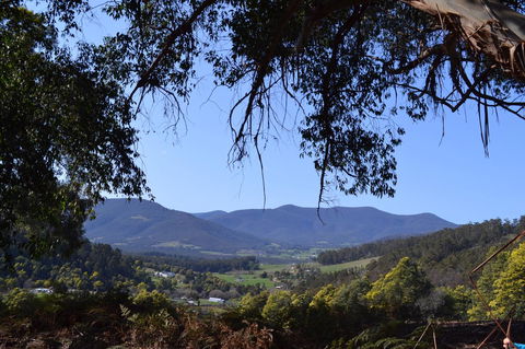 Whispering Spirit Holiday Cottages & Mini Ponies - Tourism Brisbane 14