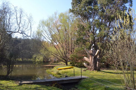 Whispering Spirit Holiday Cottages & Mini Ponies - Tourism Brisbane 12