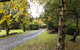 Cradle Forest Inn - thumb 36