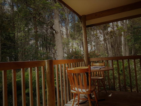 Cradle Forest Inn - Brisbane Tourism 2