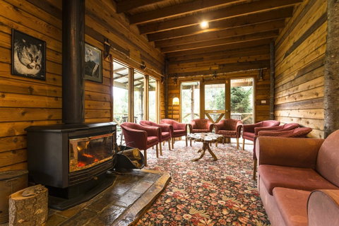 Cradle Forest Inn - Brisbane Tourism 1