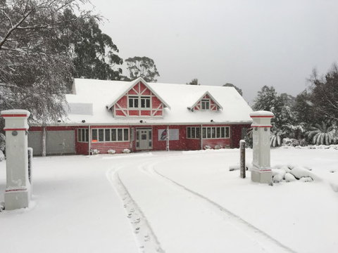 Cradle Forest Inn - Brisbane Tourism 0