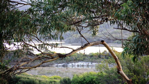 KINGFISHER COTTAGE Beachfront At The Binalong Bay - Tourism Brisbane 17