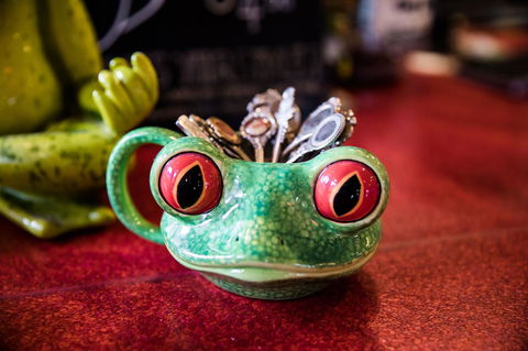 The Pickled Frog - Tourism Brisbane 13