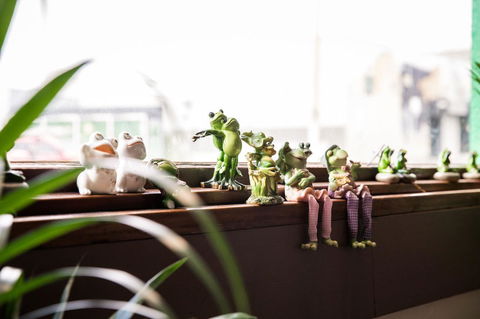 The Pickled Frog - Tourism Brisbane 12