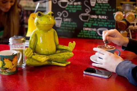 The Pickled Frog - Tourism Brisbane 30